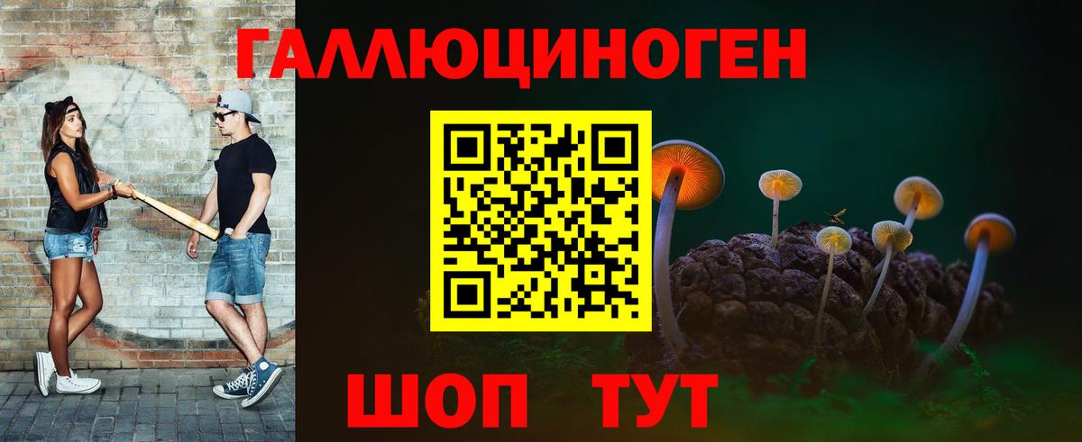 Псилоцибиновые грибы GOLDEN TEACHER  Вход с VPN  Жуковский 